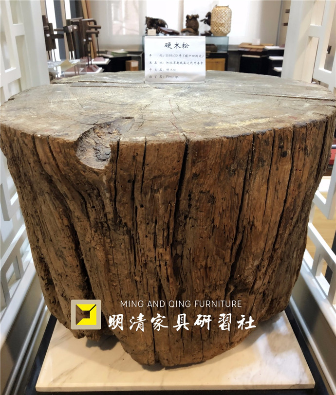 探秘中國林科院 | 家具篇 探秘中國林科院 | 家具篇