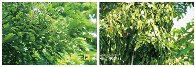 周默:我棲于木 | 人物周刊 周默:我棲于木 | 人物周刊