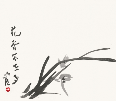 兰草